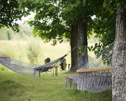 Empty hammock in a serene garden